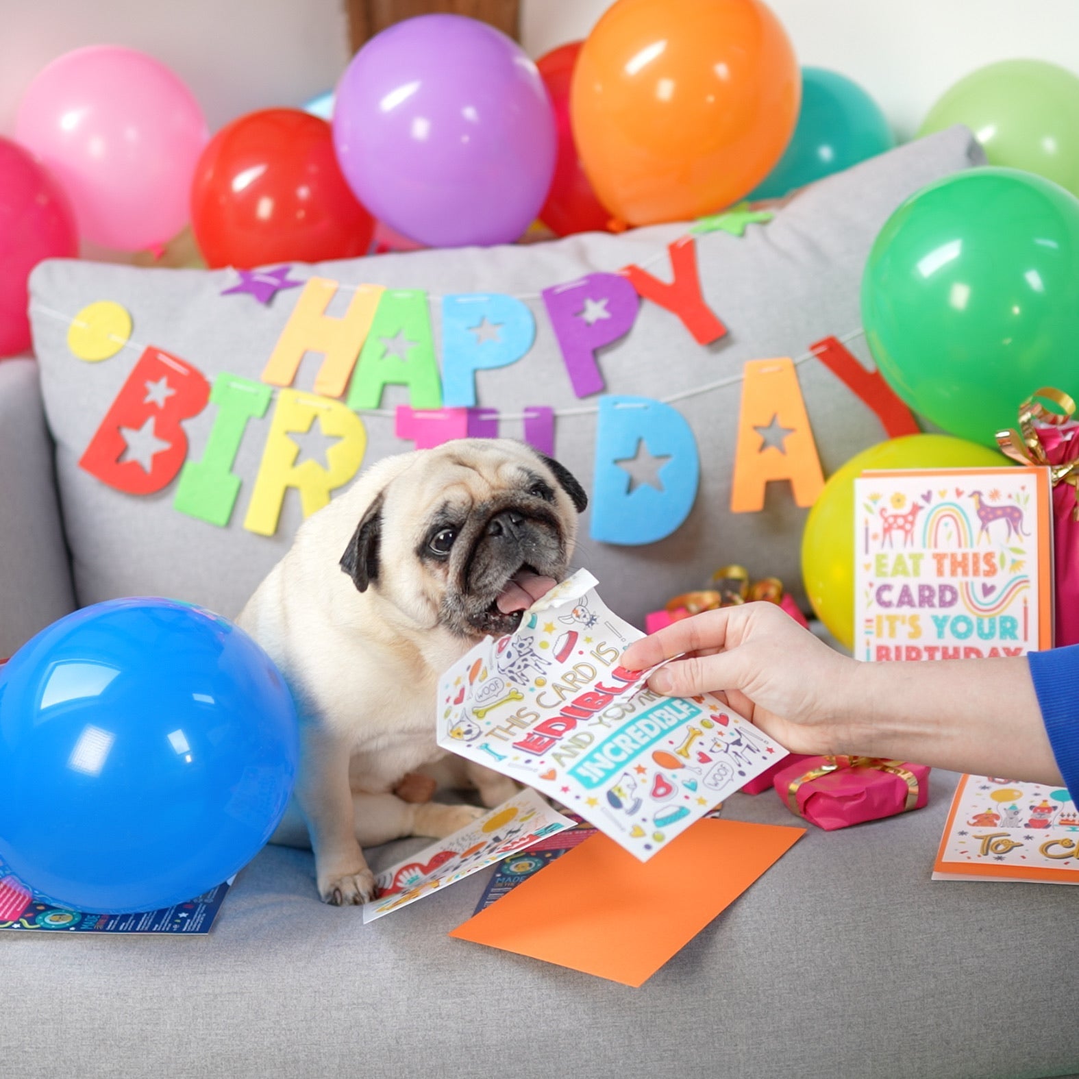 birthday dogs images