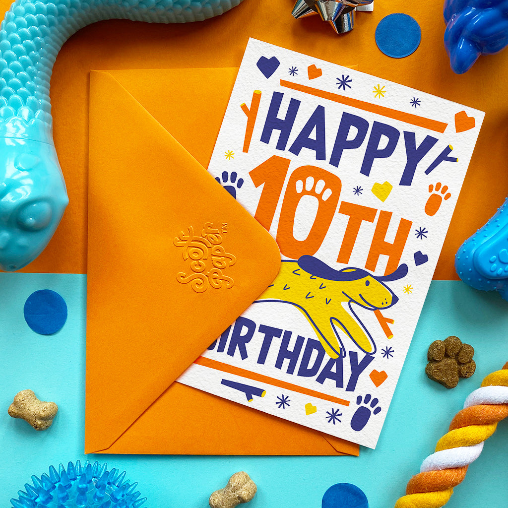 Happy Birthday Card For Dogs 10th Birthday Chicken Flavour Scoff happy-birthday-card-for-dogs-10th-birthday-chicken-flavour-scoff