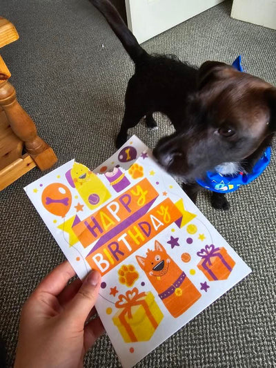 What to Write in a Dog Birthday Card (Yes, Really)