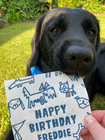 What do you write in a birthday card for a dog?