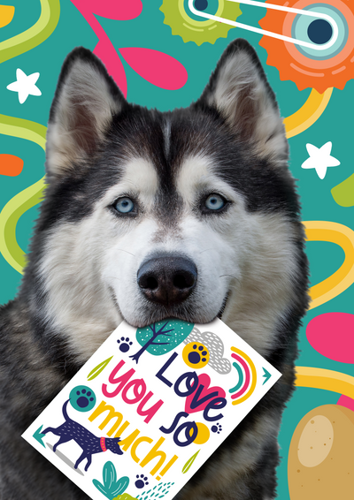 Selling to the Human, Delighting the Dog: The Secret to Pet Shop Gifting