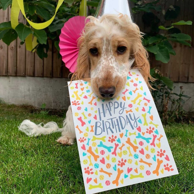 Best Gifts For Dog Owners Cat Hartigan SURPRISE! BEST BIRTHDAY