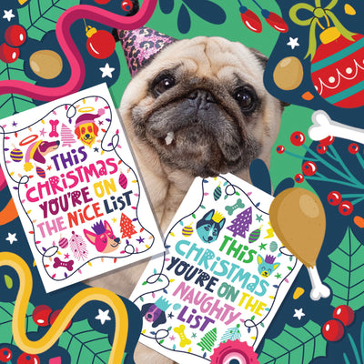 🎄 Six Christmas Gifts for Dogs that they will really enjoy!