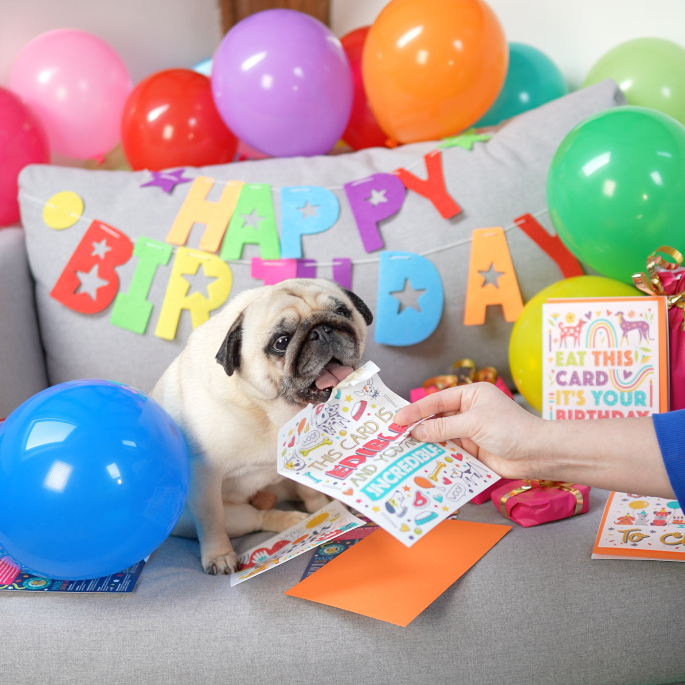 Heartfelt Birthday Messages for Your Beloved Dog