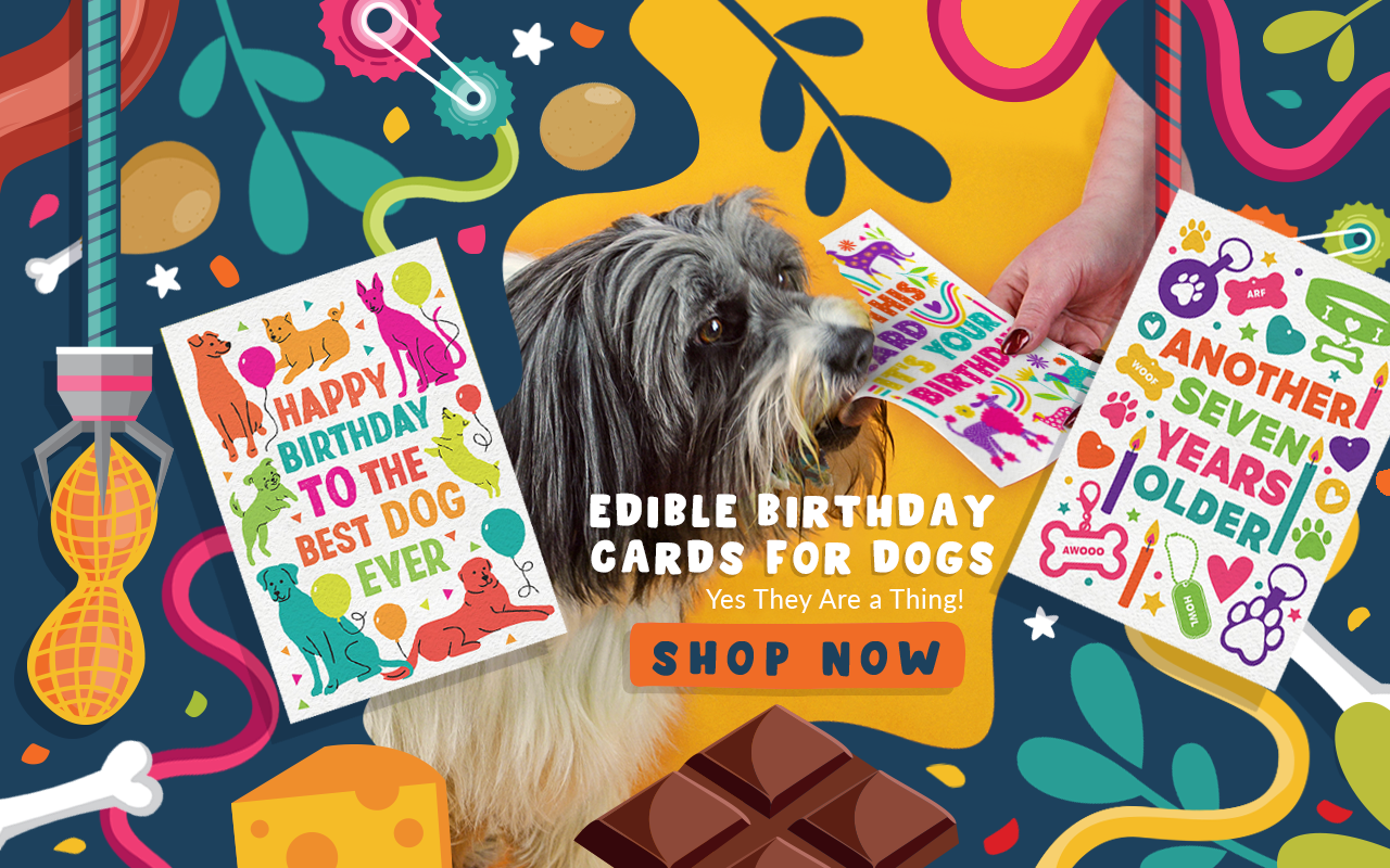 Edible cards and pens for dogs – Scoff Paper